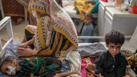 هشدار سازمان جهانی بهداشت درباره اوج گیری بیماری‌های فصلی در افغانستان