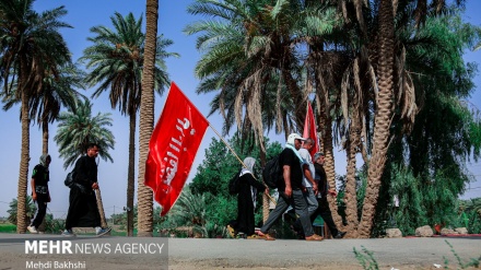 (FOTO) Marcia pellegrini tra Kufa e Karbala - 2