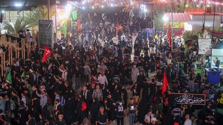 Peziarah Arbain Jalan Kaki dari Najaf ke Karbala (1)