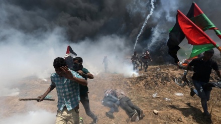 Vritet një gazetar në Palestinën e pushtuar