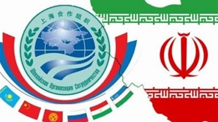 伊朗与上合作组织成员国的贸易增长31%