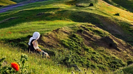 Tolışə musiği-23