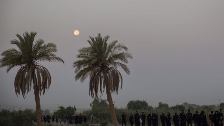 (FOTO) Marcia pellegrini tra Kufa e Karbala - 1