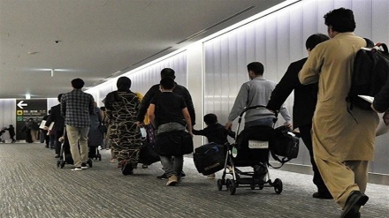 بازگشت پناهجویان افغان از ژاپن/ سیاست سختگیرانه برای اعطای پناهندگی