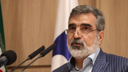 イラン原子力庁報道官、「ＩＡＥＡの主張は法的根拠なし」