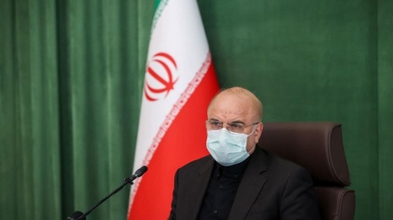 קליבאף: האויבים שואפים לנצל את מותו של מאהסה אמיני