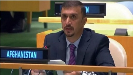 نصیر احمد فایق در مجمع عمومی سازمان ملل سخنرانی نمی‌کند