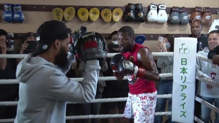 フロイド・メイウェザー対朝倉ミクルの戦い