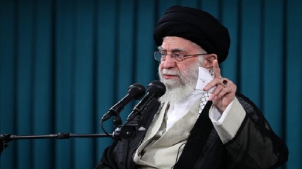 Leader: La piantina della Repubblica Islamica si è trasformata in un albero forte