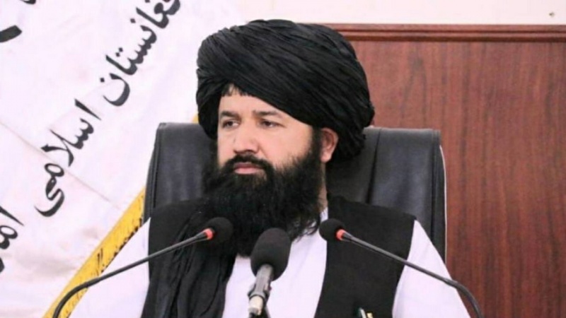 وزارت تحصیلات عالی طالبان: دانشجویان به نظام فعلی اعتماد کنند