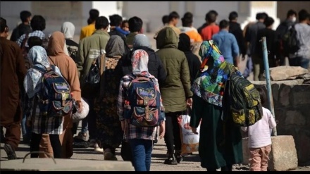 افزایش ۱۶ درصدی بازگشت مهاجران افغانستانی از ایران
