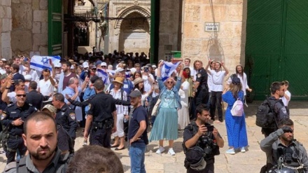 Ne dhjetëra kolonë sionistë hyjnë me dhunë në Xhaminë Al-Aksa