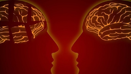 Svelato il segreto dei super-anziani, hanno neuroni più grandi