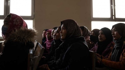 نگرانی سازمان عفو بین‌الملل از وضعیت دانشجویان در افغانستان