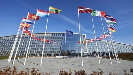 Troubles : ces Étrangers subtilisés !!