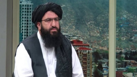 طالبان: 370 مقام ارشد دولت اشرف غنی به افغانستان بازگشته‌اند