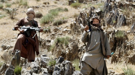 منابع محلی: یک فرمانده ارشد طالبان در قندهار کشته شد