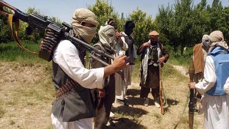 تحریک طالبان پاکستان علیه دولت اسلام‌آباد اعلام جنگ کرد