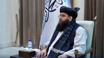 عبدالکبیر: طالبان نظام آموزشی را در چارچوب شریعت می‌پذیرد