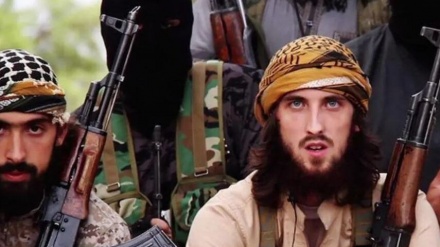 Отправка террористов из Сирии в Украину для участия в борьбе с Россией