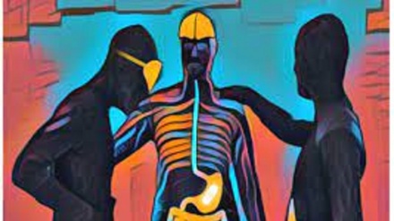 Lo stomaco ha davvero le farfalle, lo dicono le pillole inteligenti