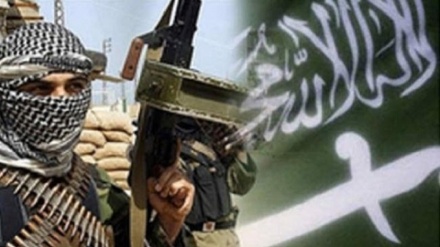 Саудовская Аравия возобновила поддержку террористической группировки «Аль-Каида» в Йемене