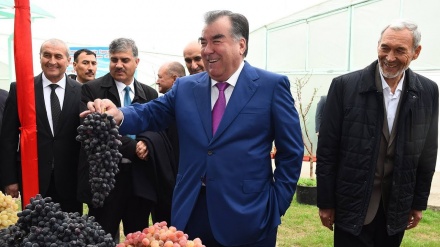 رئیس جمهور تاجیکستان به منطقه سغد می رود