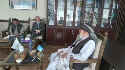  گزارشگر ویژه حقوق بشر سازمان ملل به ولایت بامیان سفر کرد