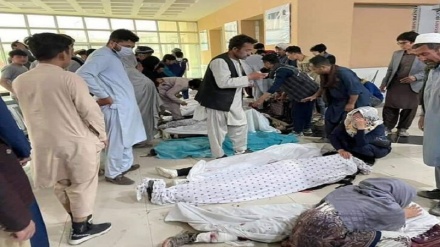 واکنش ها به حمله تروریستی به مرکز آموزشی کاج در کابل