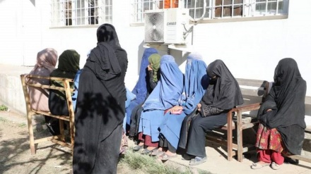 14 هزار متکدی در کابل جمع‌آوری شدند