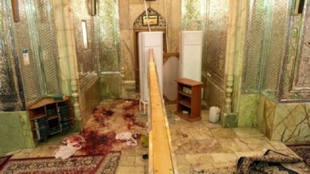 Исламская ассоциация выпускников ВУЗ США и Канады: террористические действия станут фактором укрепления единства и интеграции