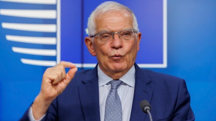 ボレル上級代表、「欧州と西側は理想的などではない」（動画）