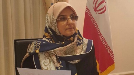 Представители мировой мусульманской общины осудили теракт в Шах-Чераге