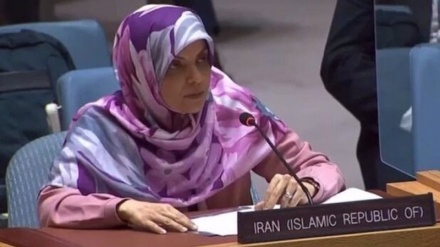 埃尔沙迪：我们认为西方对伊朗妇女的支持不是诚实的