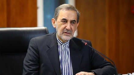 Vilayəti: Vaşinqton iyən Telaviv anədə zumand nin ki İronədə ıştə bərnoməon icro kon.