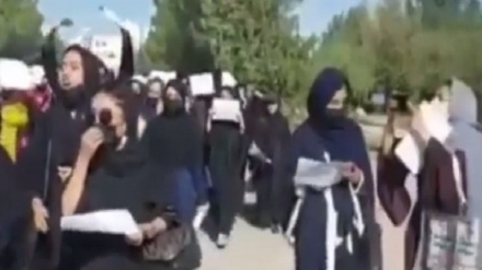 تجمع اعتراضی دانشجویان هرات به‌دنبال انفجار در مرکز آموزشی کابل
