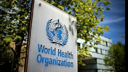 世卫组织：霍乱疫苗短缺致两剂接种策略暂时中止