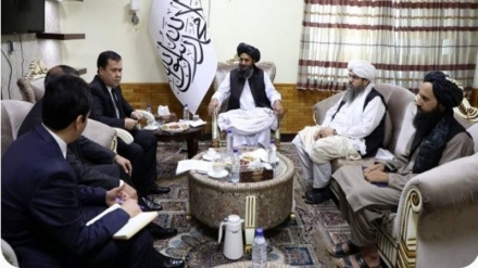 اعلام آمادگی طالبان برای آغاز کار عملی پروژه تاپی در افغانستان