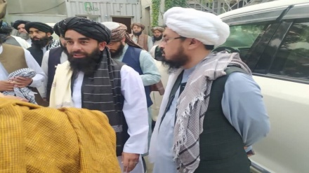 ذبیح الله مجاهد عازم ترکیه شد