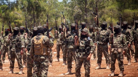 HTS-Terroristen erobern Afrin im Nordwesten Syriens
