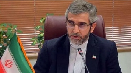 Bageri Keni: İran-Sırbistan ikili işbirliğinin önemli belgeleri yakın gelecekte imzalanacak