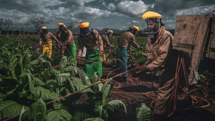 Беспрецедентное распространение современного рабства в мире