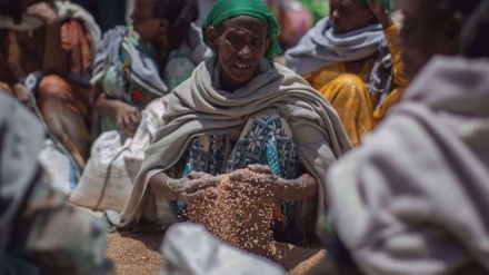 Badan-Badan Bantuan Mendesak Tindakan atas Krisis Kelaparan Global