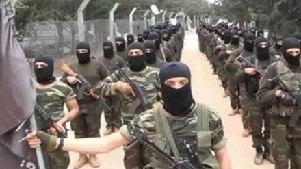 Terroristët nga Siria dërgohen në Ukrainë për të luftuar kundër Rusisë