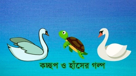 কচ্ছপ ও হাঁসের গল্প