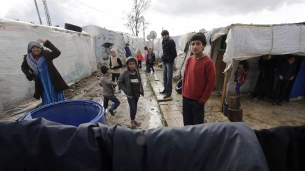 黎巴嫩霍乱 16 死