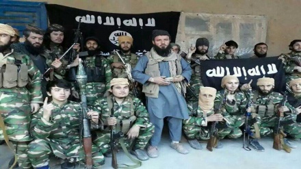 داعش مسوولیت حمله به طالبان را در هرات پذیرفت