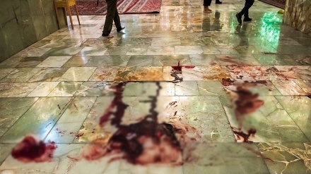 واکنش علمای اهل سنت افغانستانی به جنایت تروریستی در  حرم شاهچراغ(ع)