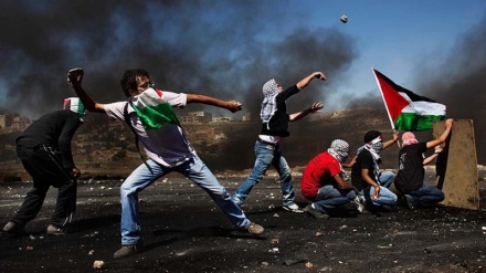 Plagosen me dhjetëra palestinezë në Bregun Perëndimor