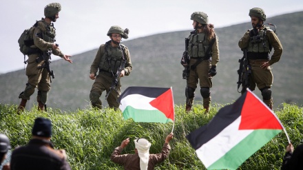 37 palestinezë u plagosën pas sulmit sionist në pjesën veriore të Bregut Perëndimor